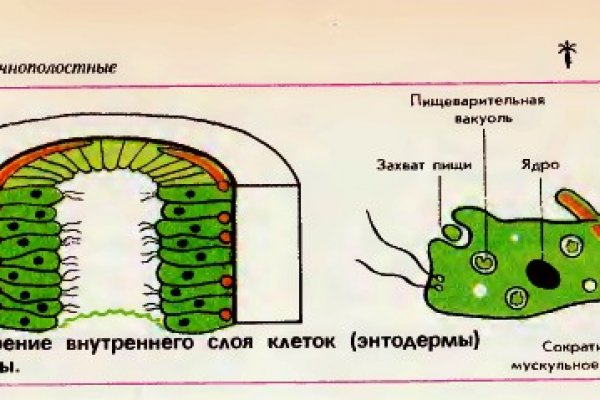 Что такое кракен маркетплейс в россии