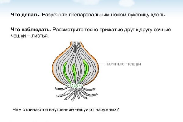 Купон кракен даркнет